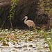Laura Rogers Photo 14