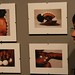 James Gerhardt Photo 4