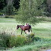 Amy Neighbors Photo 11