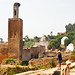 Estela Hill Photo 5
