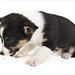 Sherry Stinson Photo 12