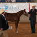 Terry Bayer Photo 4