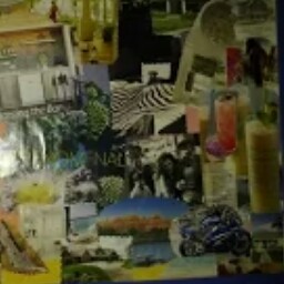 Yvonne Miller Photo 25