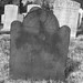 Nathaniel Whitehead Photo 6