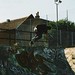 Max Wainwright Photo 5