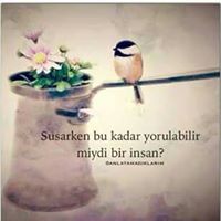 Selma Turan Photo 6