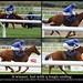 Robert Thornton Photo 7