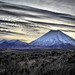 Ed Kruger Photo 3