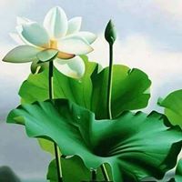 Thuc Nguyen Photo 38
