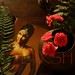Fern Fisher Photo 12