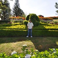 Harry Lam Photo 20