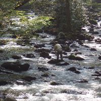 James Chandler Photo 56