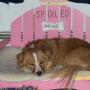 Nancy Haley Photo 19