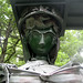 Judith Brown Photo 19