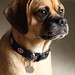 Buford Bailey Photo 5