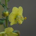 Qin Ye Photo 4