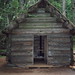 James Longmire Photo 4