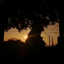 Sebastian Cancino Photo 4