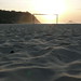 Joel Lopes Photo 6