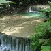 Edward Posas Photo 8