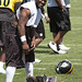 James Harrison Photo 6