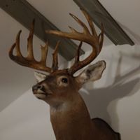 Robert Crow Photo 27