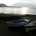 Michael Howe Photo 15