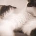 Kitty Bruce Photo 8