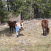 Michael Shae Photo 2
