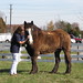 Terrie Mcconnell Photo 7