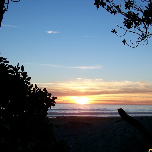 Barbara Good Photo 21
