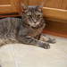 Sandy Bish Photo 6