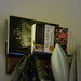 Julia Jackson Photo 6