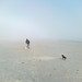 Misty Fritz Photo 5