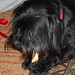 Marietta Spencer Photo 4