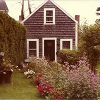 Lillian Taylor Photo 40