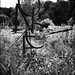 Michael Stumpf Photo 12