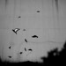 John Woo Photo 13