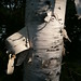 Wendy Cook Photo 14
