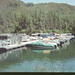 Marina Redding Photo 4