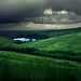 Tommy Storey Photo 3