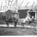 Mary Mickel Photo 7