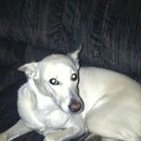 John Steenstra Photo 4