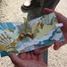 Chandra Wolf Photo 10