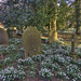Peter Stanton Photo 8