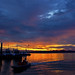 Sun Lim Photo 9