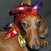 Charlie Jester Photo 7
