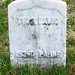 Thomas Davis Photo 10
