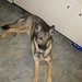 Darla Cook Photo 9