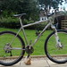 Michael Lynskey Photo 6